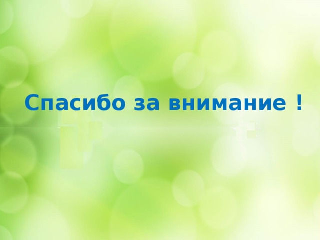 Спасибо за внимание !  