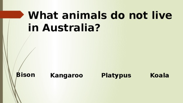 What animals do not live in Australia? Bison Kangaroo Platypus Koala 