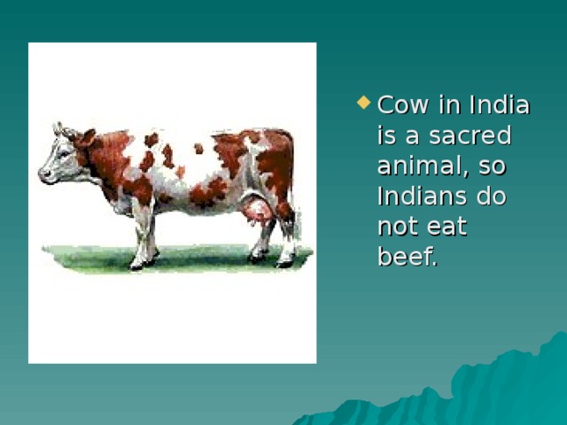 Cow in India is a sacred animal, so Indians do not eat beef.  