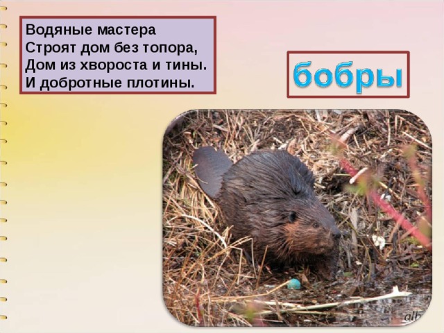 Водяные мастера  Строят дом без топора,  Дом из хвороста и тины.  И добротные плотины. 