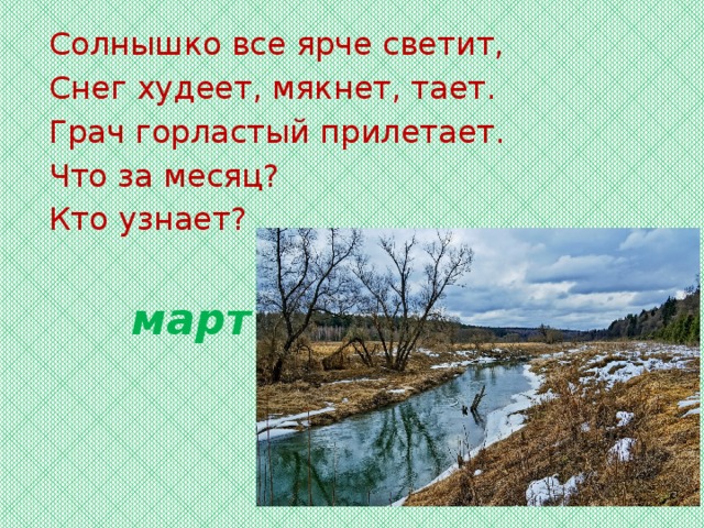 Солнышко все ярче светит, Снег худеет, мякнет, тает. Грач горластый прилетает. Что за месяц? Кто узнает? март 