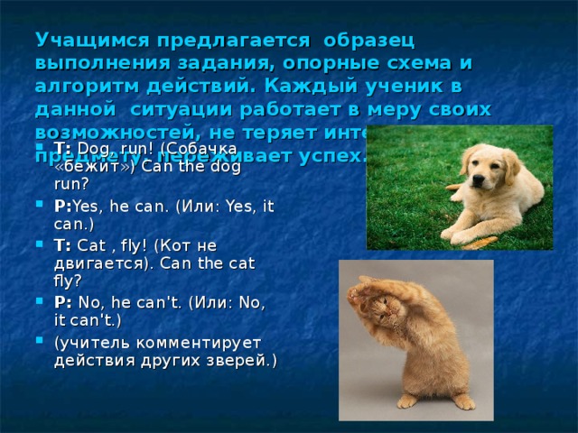 Учащимся предлагается образец выполнения задания, опорные схема и алгоритм действий. Каждый ученик в данной ситуации работает в меру своих возможностей, не теряет интереса к предмету, переживает успех. Т:  Dog, run! ( Собачка « бежит ») Can the dog run? Р: Yes, he can. ( Или : Yes, it can.) Т:  Cat  , fly! (Кот не двигается). Can the cat fly? Р :  No, he can't. (Или: No, it can't.) (учитель комментирует действия других зверей.) 