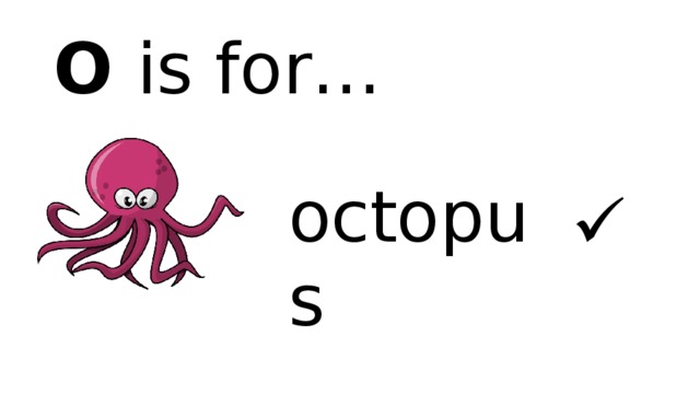 O is for… octopus  