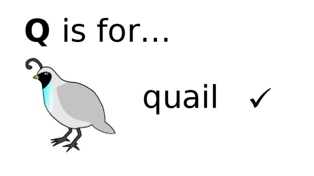 Q is for… quail  