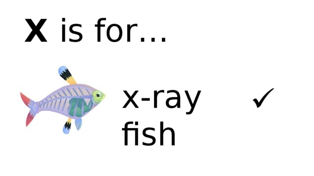 X is for… x-ray fish  