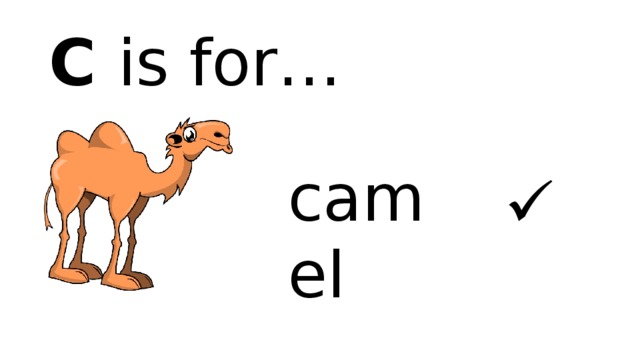 C is for… camel  