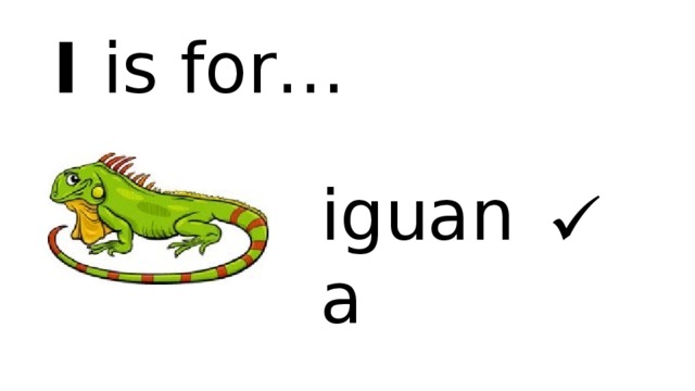 I is for… iguana  