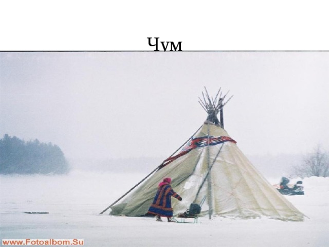Чум 