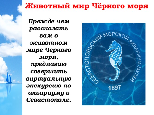 Животный мир Чёрного моря Прежде чем рассказать вам о животном мире Черного моря, предлагаю совершить виртуальную экскурсию по аквариуму в Севастополе.  