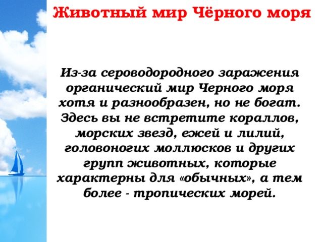 Животный мир Чёрного моря Из-за сероводородного заражения органический мир Черного моря хотя и разнообразен, но не богат. Здесь вы не встретите кораллов, морских звезд, ежей и лилий, головоногих моллюсков и других групп животных, которые характерны для «обычных», а тем более - тропических морей. 