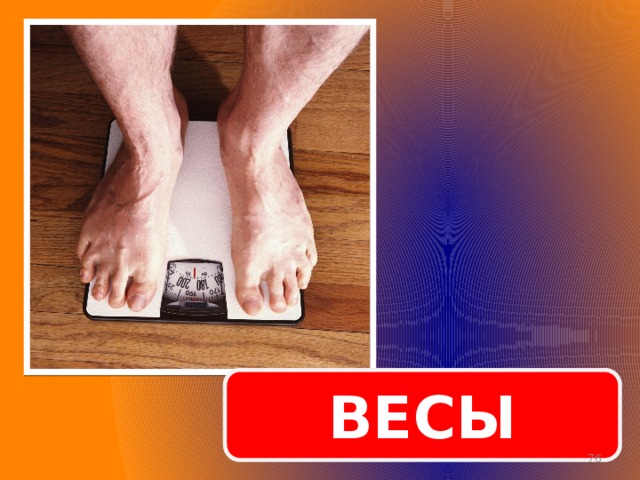 ВЕСЫ  