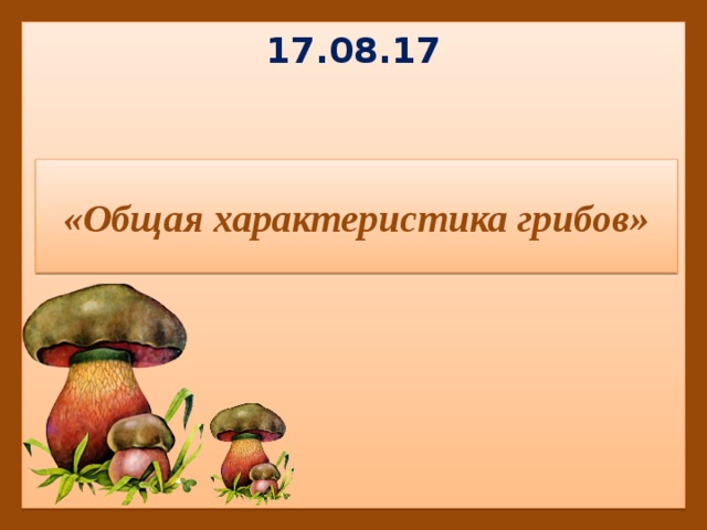17.08.17 «Общая характеристика грибов» 