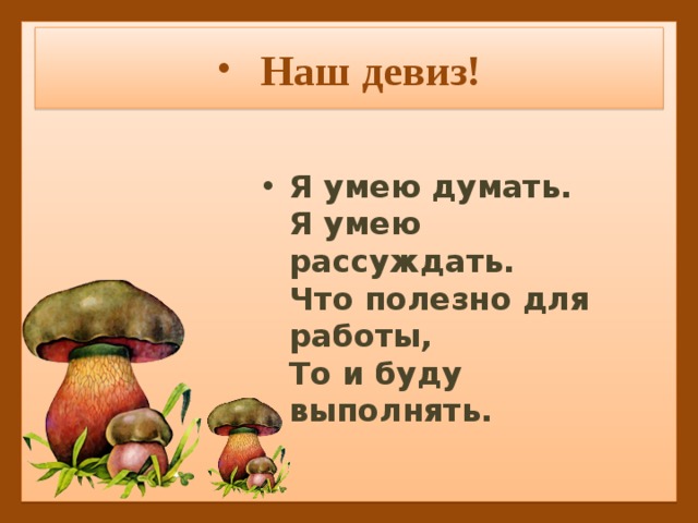 Наш девиз! Я умею думать.  Я умею рассуждать.  Что полезно для работы,  То и буду выполнять. 