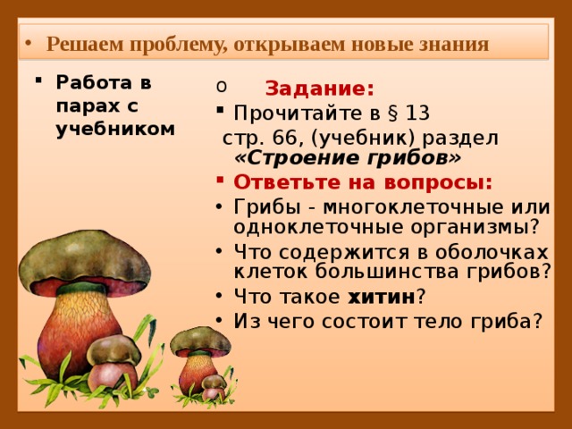 Решаем проблему, открываем новые знания Работа в парах с учебником   Задание: Прочитайте в § 13  стр. 66, (учебник) раздел «Строение грибов» Ответьте на вопросы: Грибы - многоклеточные или одноклеточные организмы? Что содержится в оболочках клеток большинства грибов? Что такое хитин ? Из чего состоит тело гриба? 