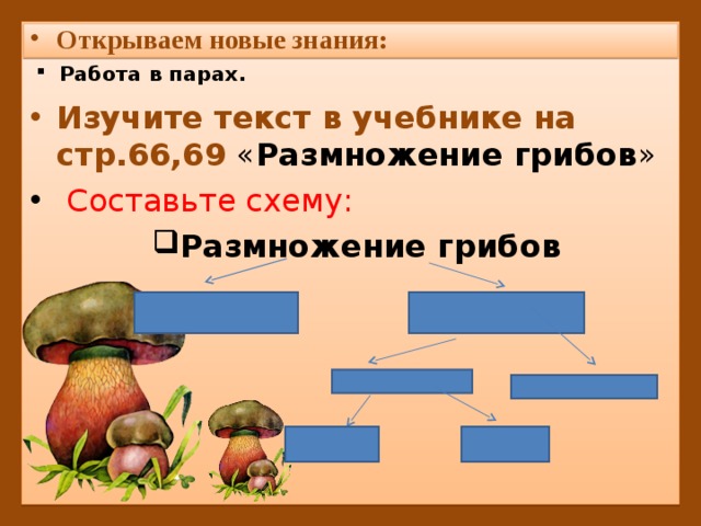 Открываем новые знания: Работа в парах.  Изучите текст в учебнике на стр.66,69 « Размножение грибов »  Составьте схему: Размножение грибов 