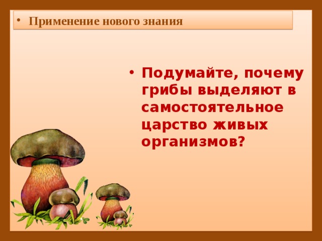 Применение нового знания Подумайте, почему грибы выделяют в самостоятельное царство живых организмов? 