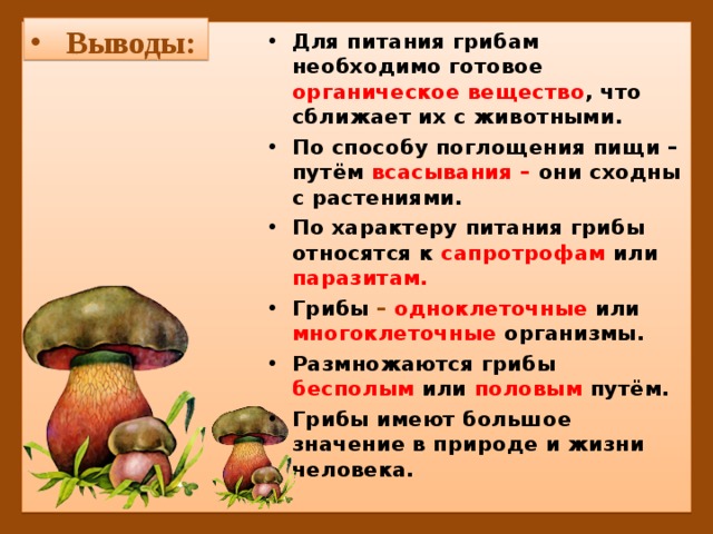 Выводы: Для питания грибам необходимо готовое органическое вещество , что сближает их с животными. По способу поглощения пищи – путём всасывания – они сходны с растениями. По характеру питания грибы относятся к сапротрофам или паразитам. Грибы – одноклеточные  или многоклеточные организмы. Размножаются грибы бесполым или половым  путём. Грибы имеют большое значение в природе и жизни человека. 