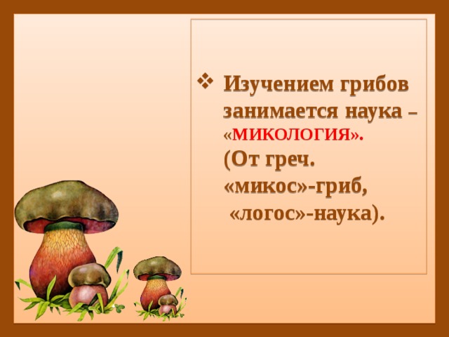 Изучением грибов занимается наука – « МИКОЛОГИЯ».   (От греч.  «микос»-гриб,  «логос»-наука). 