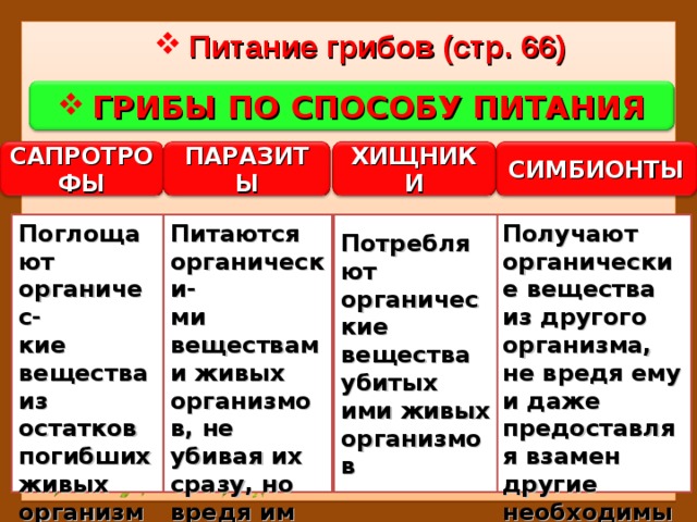 Питание грибов (стр. 66) ГРИБЫ ПО СПОСОБУ ПИТАНИЯ САПРОТРОФЫ СИМБИОНТЫ ХИЩНИКИ ПАРАЗИТЫ Получают органические вещества из другого организма, не вредя ему и даже предоставляя взамен другие необходимые вещества Потребляют органические вещества убитых ими живых организмов Питаются органически- ми веществами живых организмов, не убивая их сразу, но вредя им Поглощают органичес- кие вещества из остатков погибших живых организмов 