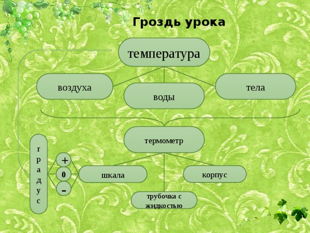 Гроздь урока температура тела воздуха воды термометр градус + корпус шкала 0 - трубочка с жидкостью 