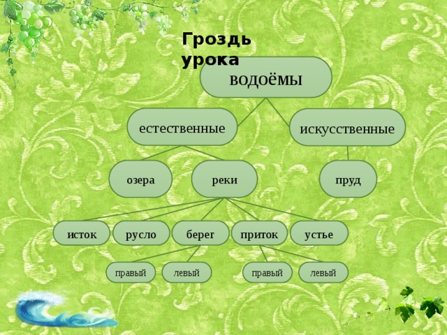 Гроздь урока водоёмы естественные искусственные пруд реки озера исток берег русло приток устье правый левый правый левый 