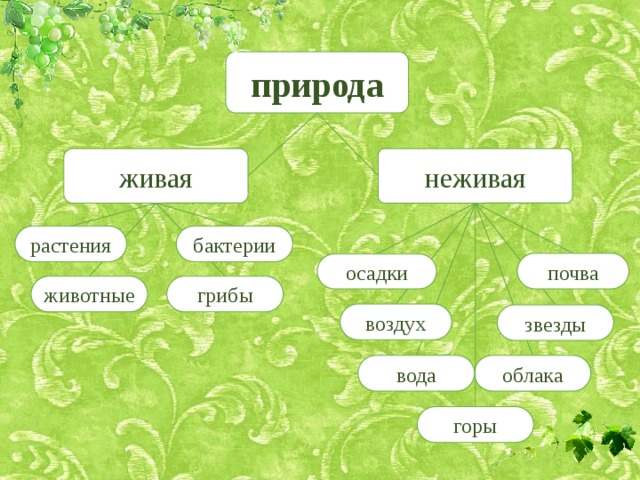природа живая неживая бактерии растения почва осадки грибы животные воздух звезды вода облака горы  