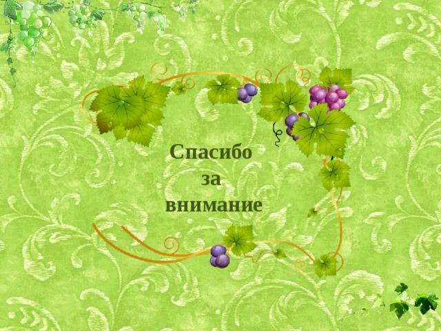 Спасибо за внимание 