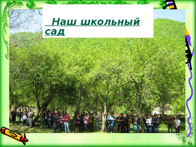   Наш школьный сад А 