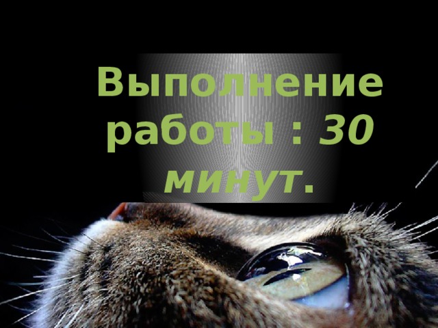 Выполнение работы : 30 минут . 