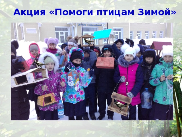 Акция «Помоги птицам Зимой» 