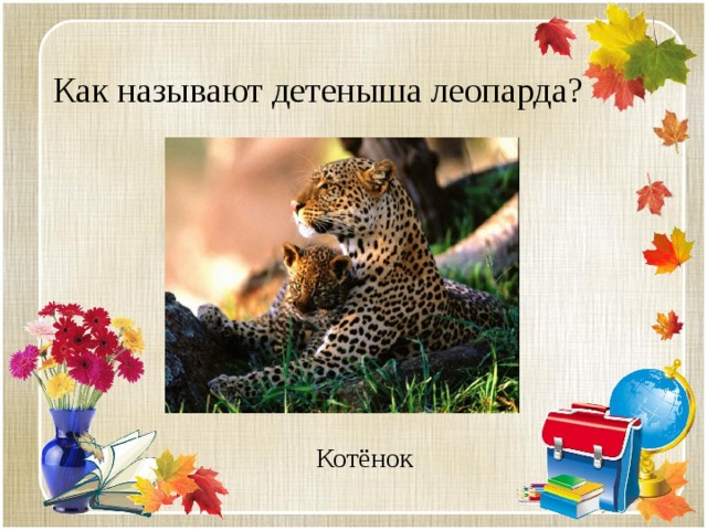 Как называют детеныша леопарда? Котёнок 