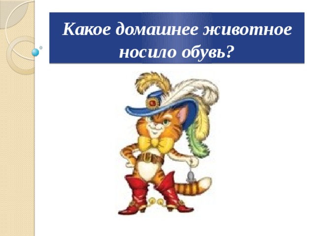 Какое домашнее животное носило обувь? 