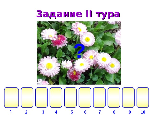 Задание II тура ? и   к  т   р  а     а г р  м  а   1 2 3 4 6 7 8 9 10 5 