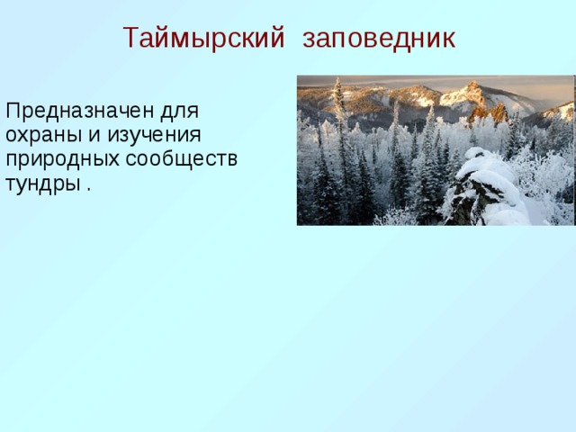 Таймырский заповедник Предназначен для охраны и изучения природных сообществ тундры .