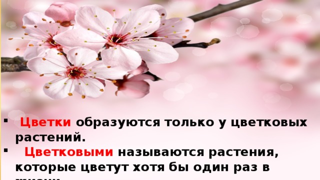  Цветки образуются только у цветковых растений.  Цветковыми называются растения, которые цветут хотя бы один раз в жизни. 