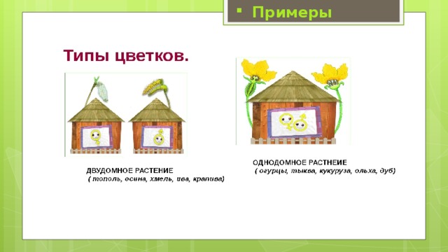 Примеры 