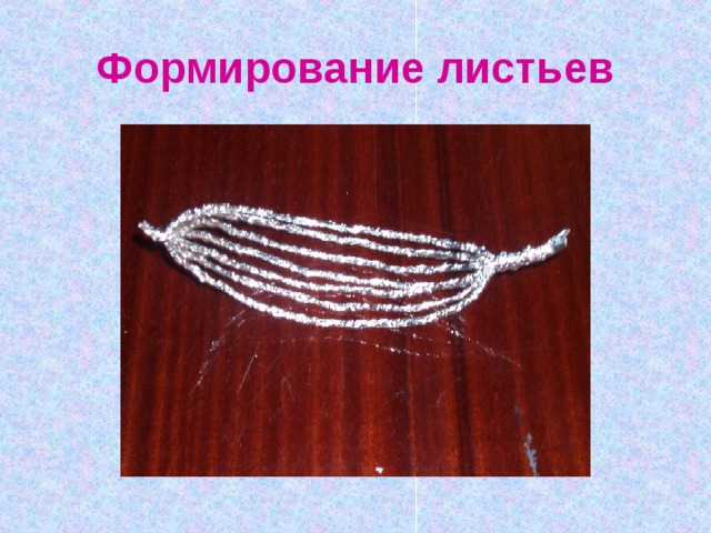 Формирование листьев 