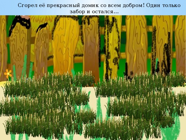 Сгорел её прекрасный домик со всем добром! Один только забор и остался… 