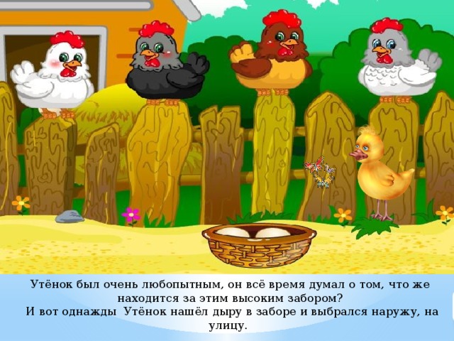 Утёнок был очень любопытным, он всё время думал о том, что же находится за этим высоким забором?  И вот однажды Утёнок нашёл дыру в заборе и выбрался наружу, на улицу.     