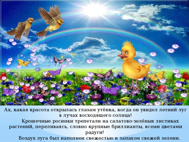 Ах, какая красота открылась глазам утёнка, когда он увидел летний луг  в лучах восходящего солнца!  Крошечные росинки трепетали на салатово-зелёных листиках растений, переливаясь, словно крупные бриллианты, всеми цветами радуги!  Воздух луга был наполнен свежестью и запахом свежей зелени.  Многочисленные птицы звонко пели на все лады.    