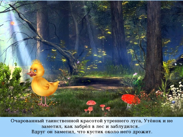 Очарованный таинственной красотой утреннего луга, Утёнок и не заметил, как забрёл в лес и заблудился. Вдруг он заметил, что кустик около него дрожит. 