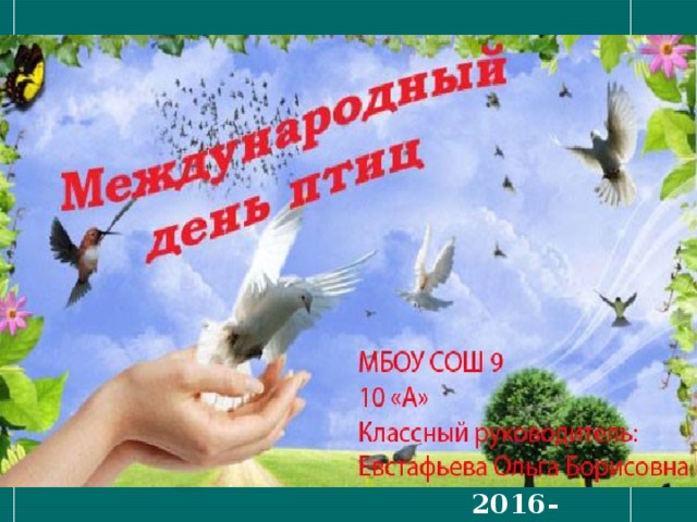 2016-2017 