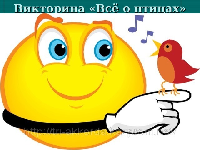 Викторина «Всё о птицах» 