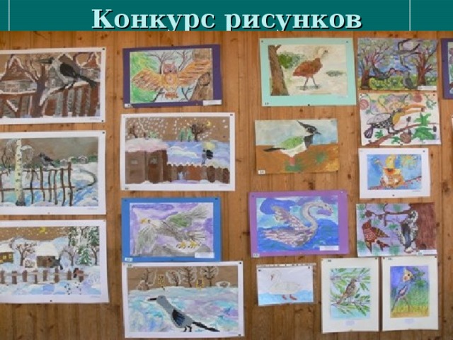 Конкурс рисунков 