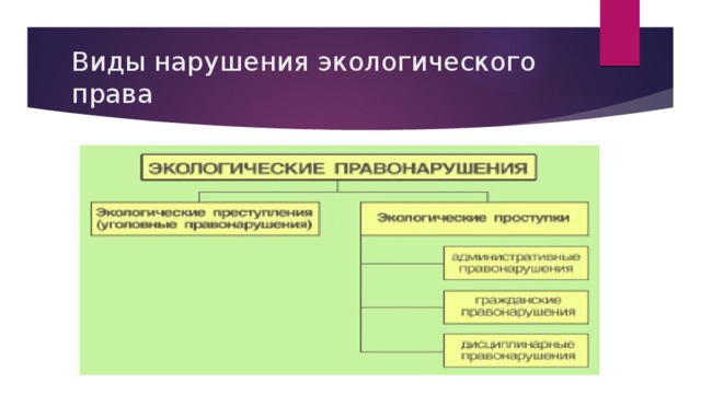 Виды нарушения экологического права 
