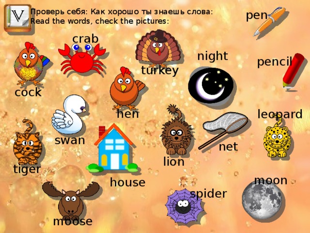 Проверь себя: Как хорошо ты знаешь слова: Read the words, check the pictures: pen crab night pencil turkey cock hen leopard swan net lion tiger moon house spider moose 