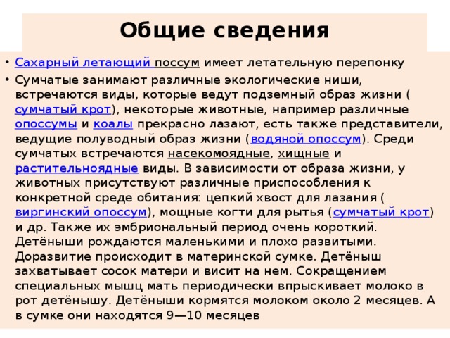 Общие сведения   Сахарный летающий поссум имеет летательную перепонку Сумчатые занимают различные экологические ниши, встречаются виды, которые ведут подземный образ жизни ( сумчатый крот ), некоторые животные, например различные  опоссумы  и  коалы  прекрасно лазают, есть также представители, ведущие полуводный образ жизни ( водяной опоссум ). Среди сумчатых встречаются  насекомоядные ,  хищные  и  растительноядные  виды. В зависимости от образа жизни, у животных присутствуют различные приспособления к конкретной среде обитания: цепкий хвост для лазания ( виргинский опоссум ), мощные когти для рытья ( сумчатый крот ) и др. Также их эмбриональный период очень короткий. Детёныши рождаются маленькими и плохо развитыми. Доразвитие происходит в материнской сумке. Детёныш захватывает сосок матери и висит на нем. Сокращением специальных мышц мать периодически впрыскивает молоко в рот детёнышу. Детёныши кормятся молоком около 2 месяцев. А в сумке они находятся 9—10 месяцев 