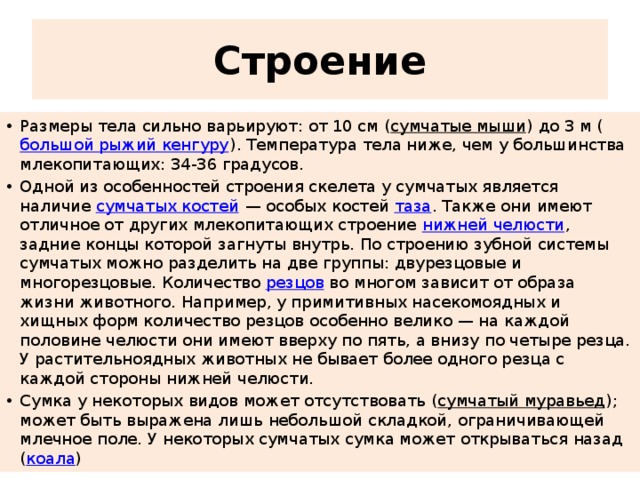 Строение Размеры тела сильно варьируют: от 10 см ( сумчатые мыши ) до 3 м ( большой рыжий кенгуру ). Температура тела ниже, чем у большинства млекопитающих: 34-36 градусов. Одной из особенностей строения скелета у сумчатых является наличие  сумчатых костей  — особых костей  таза . Также они имеют отличное от других млекопитающих строение  нижней челюсти , задние концы которой загнуты внутрь. По строению зубной системы сумчатых можно разделить на две группы: двурезцовые и многорезцовые. Количество  резцов  во многом зависит от образа жизни животного. Например, у примитивных насекомоядных и хищных форм количество резцов особенно велико — на каждой половине челюсти они имеют вверху по пять, а внизу по четыре резца. У растительноядных животных не бывает более одного резца с каждой стороны нижней челюсти. Сумка у некоторых видов может отсутствовать ( сумчатый муравьед ); может быть выражена лишь небольшой складкой, ограничивающей млечное поле. У некоторых сумчатых сумка может открываться назад ( коала ) 
