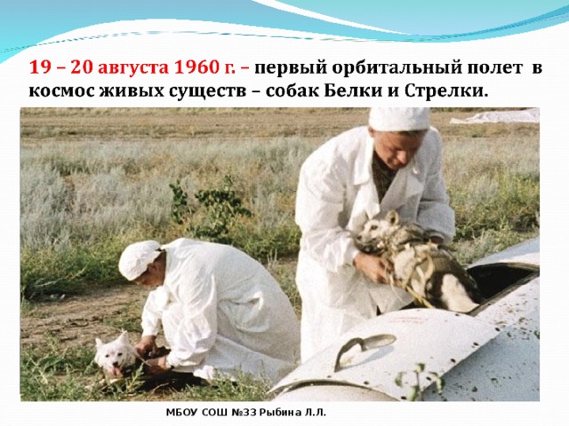 МБОУ СОШ №33 Рыбина Л.Л. 