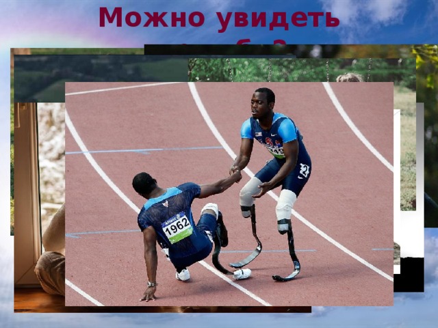 Можно увидеть дружбу? 